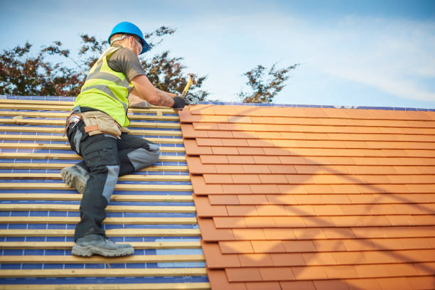 Best Gutter Installation and Repair  in Cienega Springs, AZ